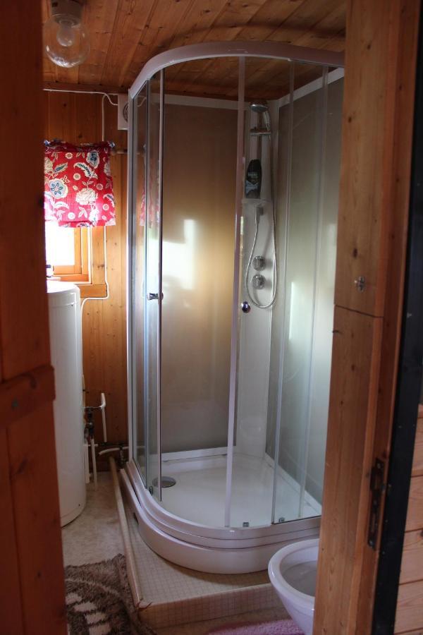 Apartament Fjoset Hansnes Zewnętrze zdjęcie